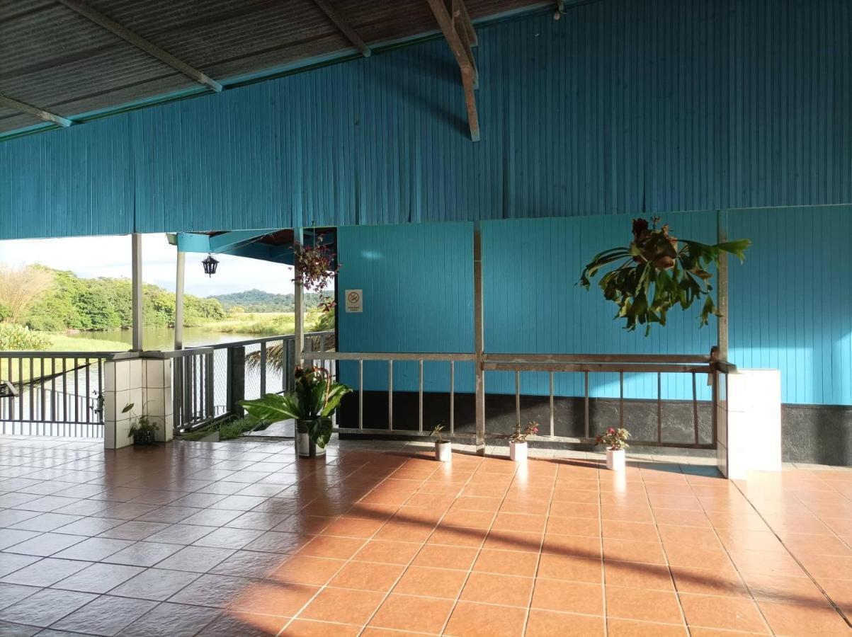 Hotel Gaviotas De Osa Sierpe Exteriör bild